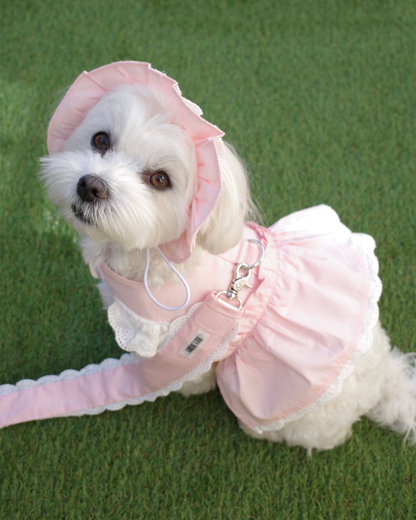 pastel lace bonnet