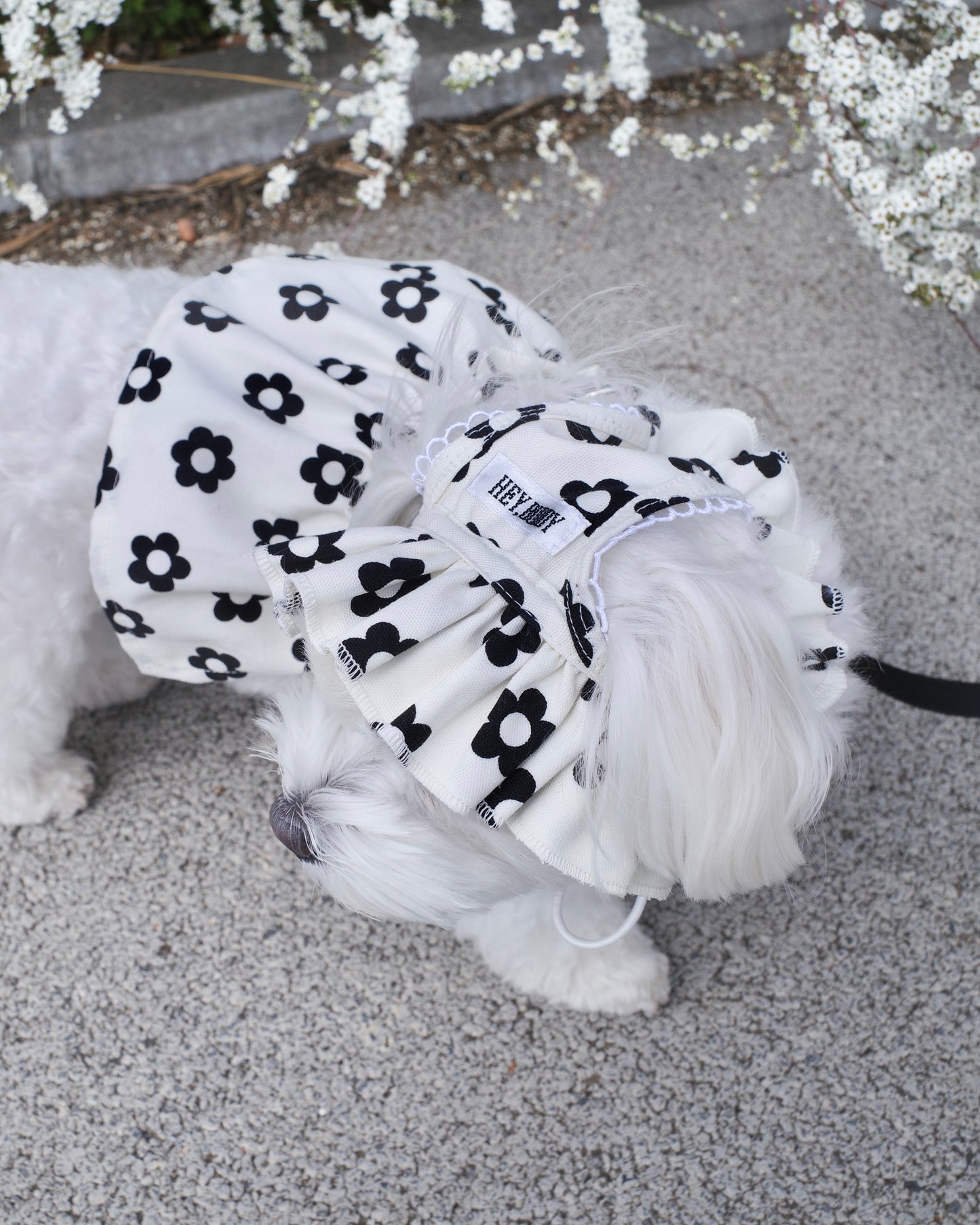 monotone flower bonnet