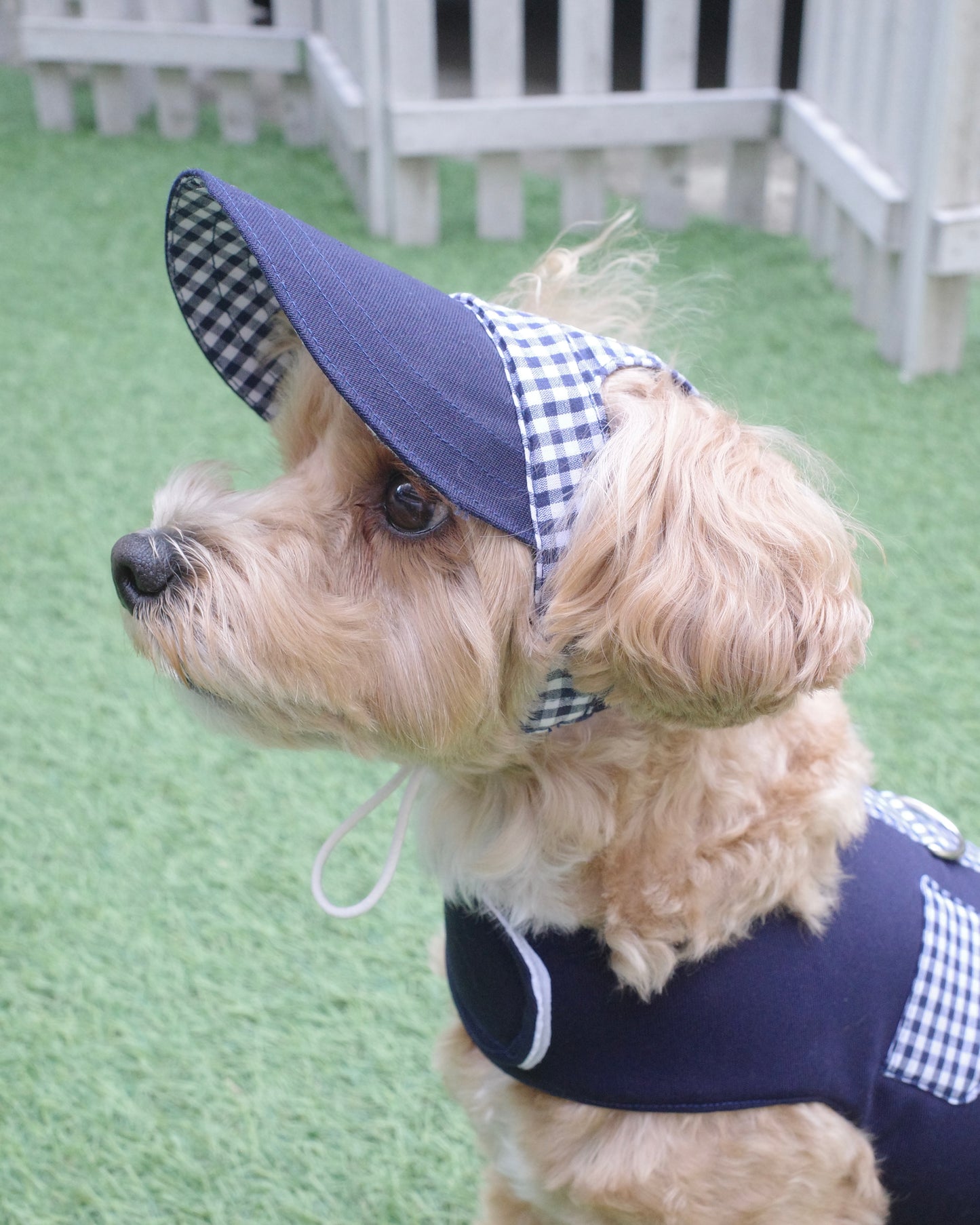 gingham check baseball cap