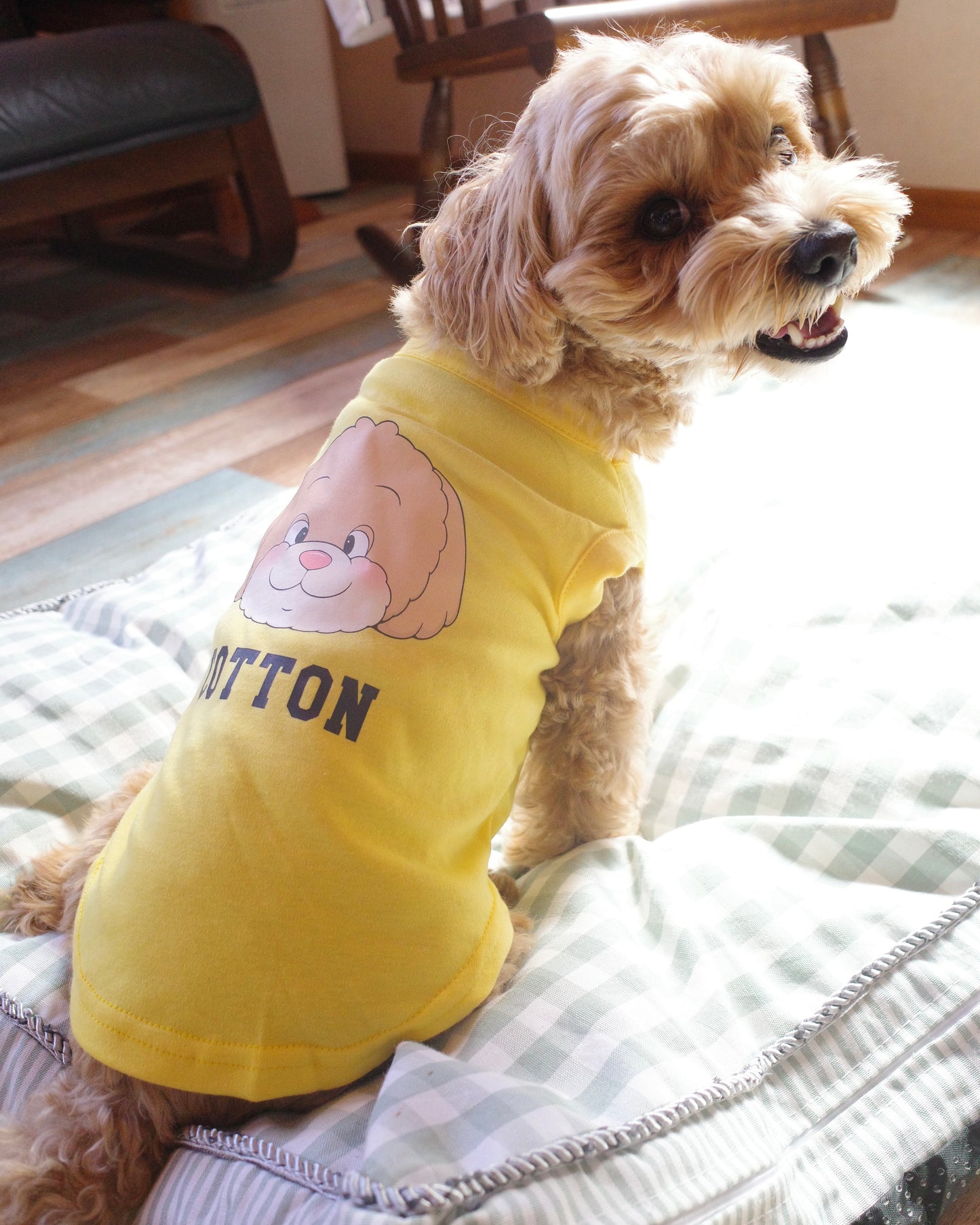 うちの子スクールTシャツ