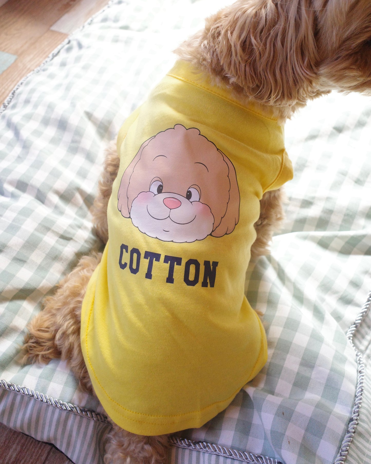 うちの子スクールTシャツ