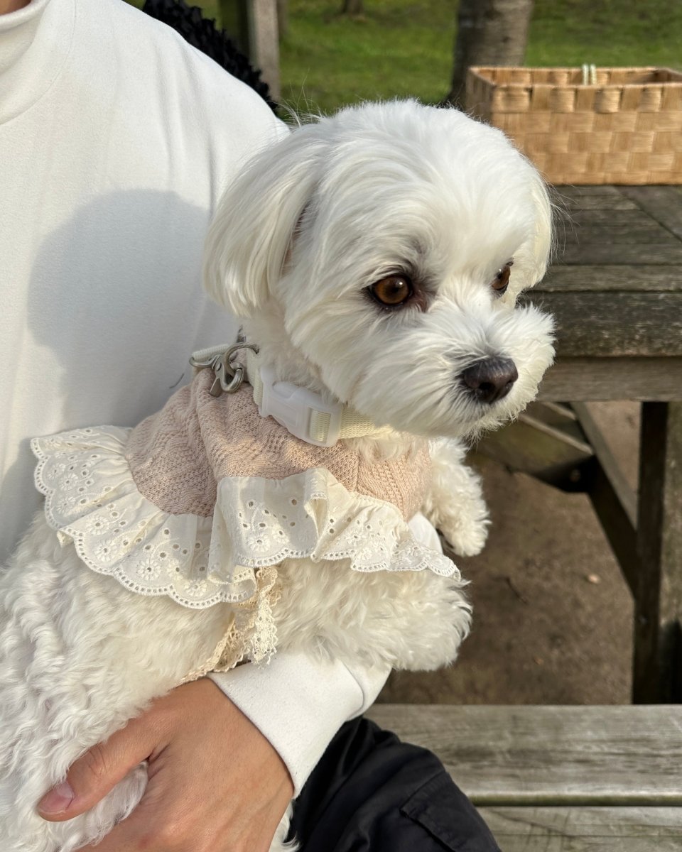 baby bib lace poncho - HEY,BUDDY