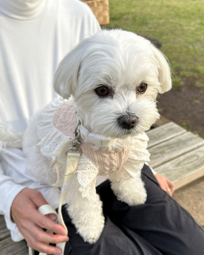 baby bib lace poncho - HEY,BUDDY