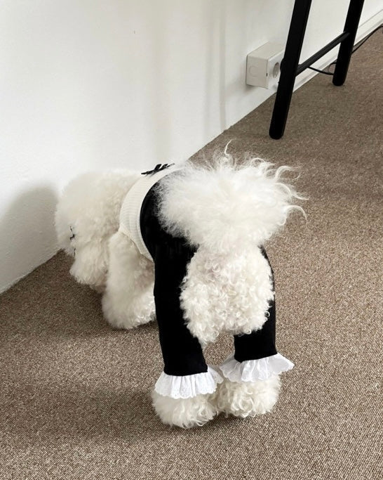 ballet core ribbon trumpet pants - HEY,BUDDY