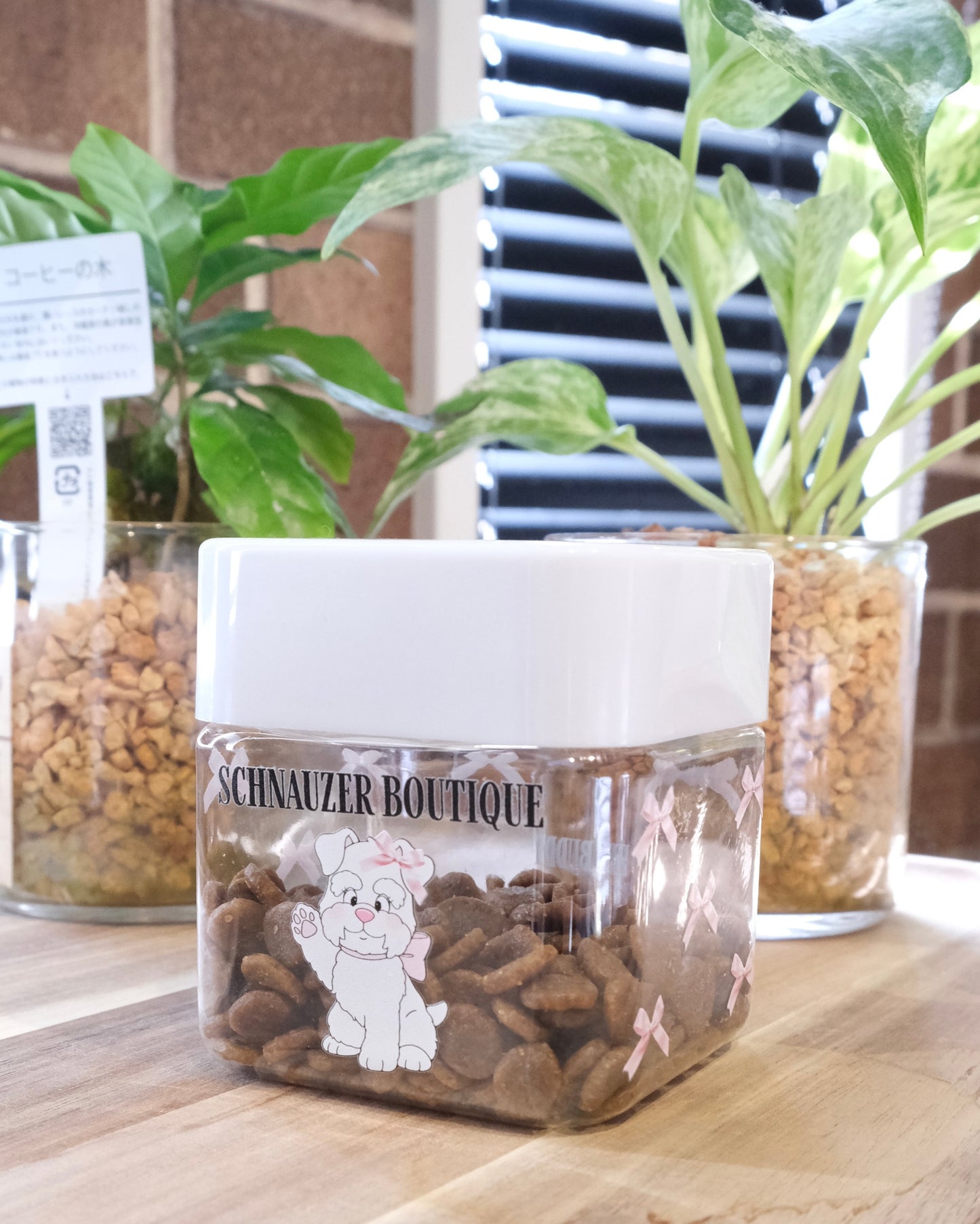 【感謝祭限定】girly schnauzer 4点セット