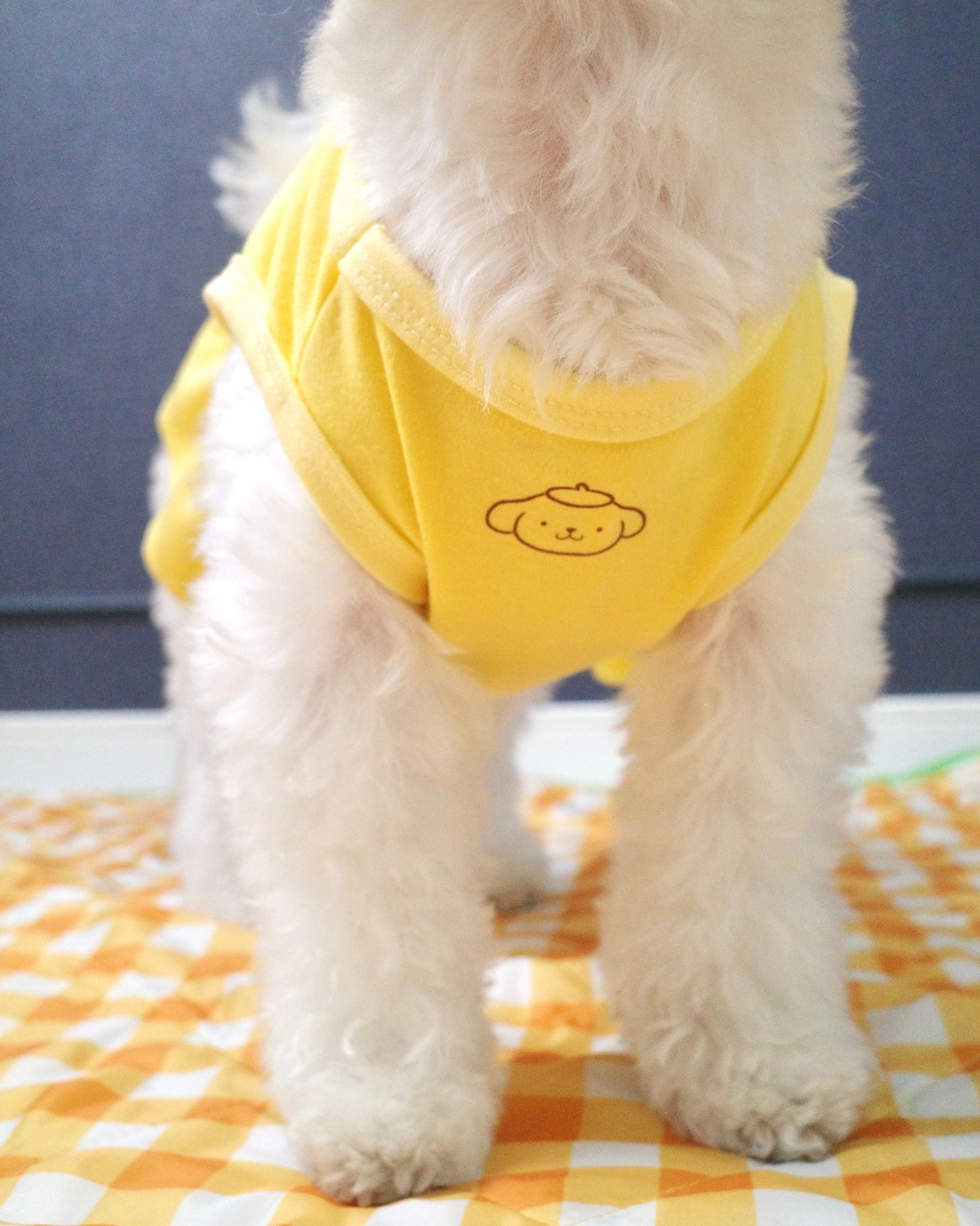 ＜10/17予約開始＞【POMPOMPURIN】おやつ大好きくらぶ。ワンピース