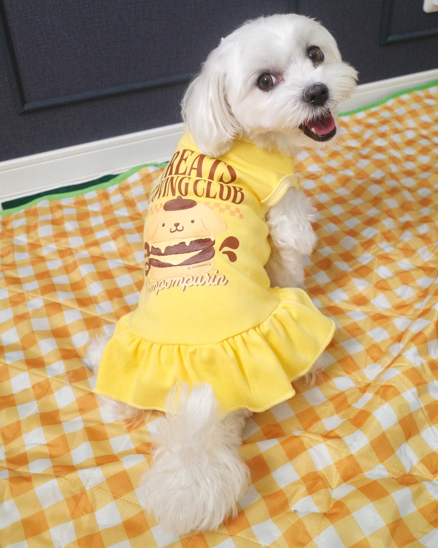 ＜10/17予約開始＞【POMPOMPURIN】おやつ大好きくらぶ。ワンピース