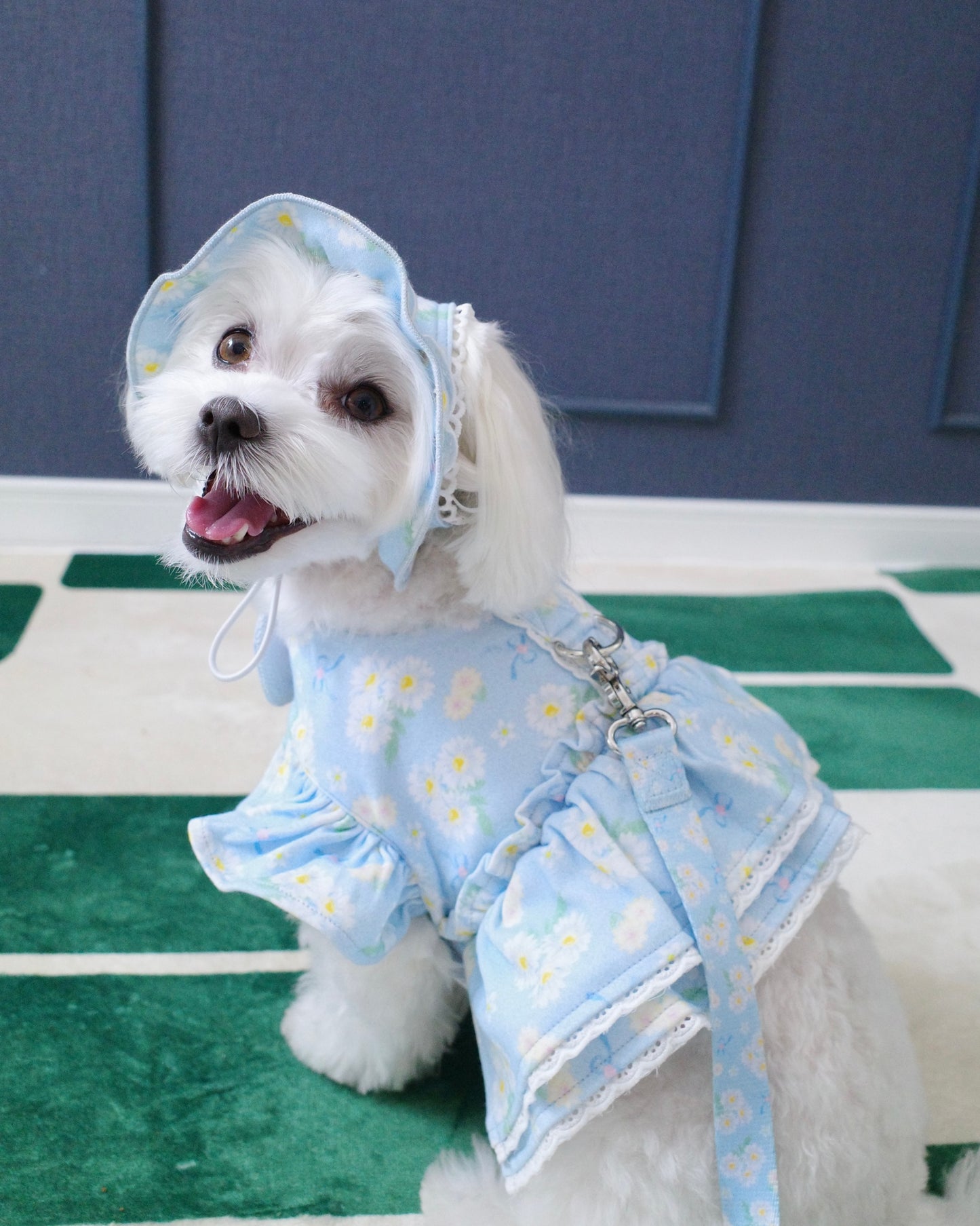 ＜予約＞【CINNAMOROLL】flower lace bonnet