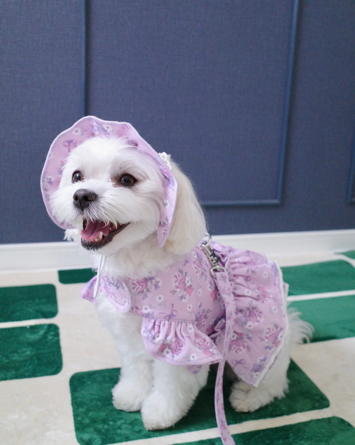 ＜予約＞【KUROMI】flower double lace harness