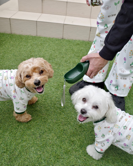 12/5発売【SANRIO CHARACTERS】3 in 1 flower bottle - 300ml