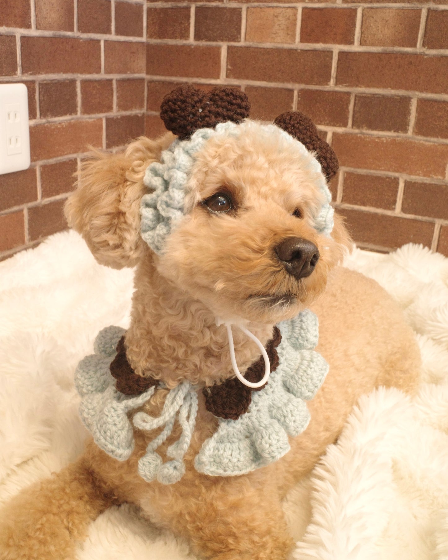 ＜新カラー追加＞ホイップセット（ケープ＆カチューシャ）