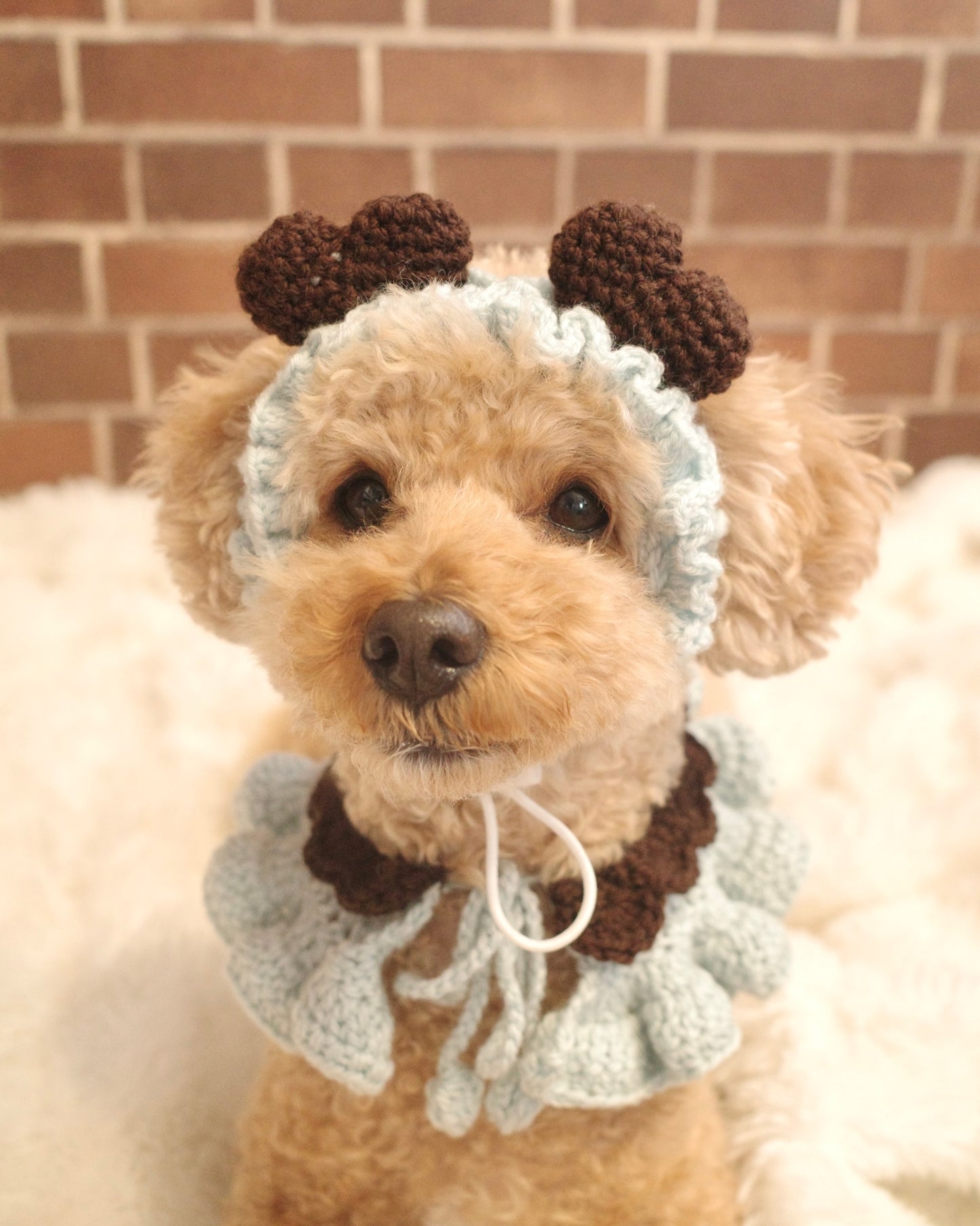 ＜新カラー追加＞ホイップセット（ケープ＆カチューシャ）