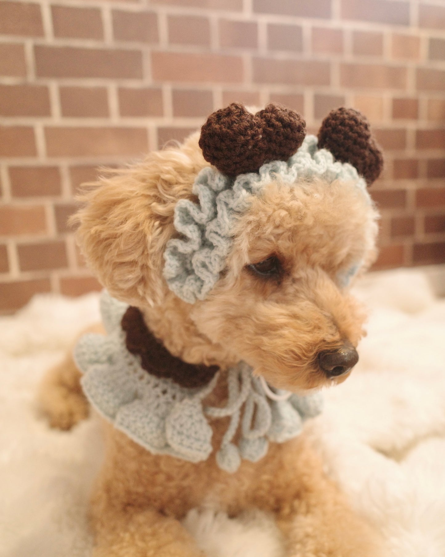 ＜新カラー追加＞ホイップセット（ケープ＆カチューシャ）