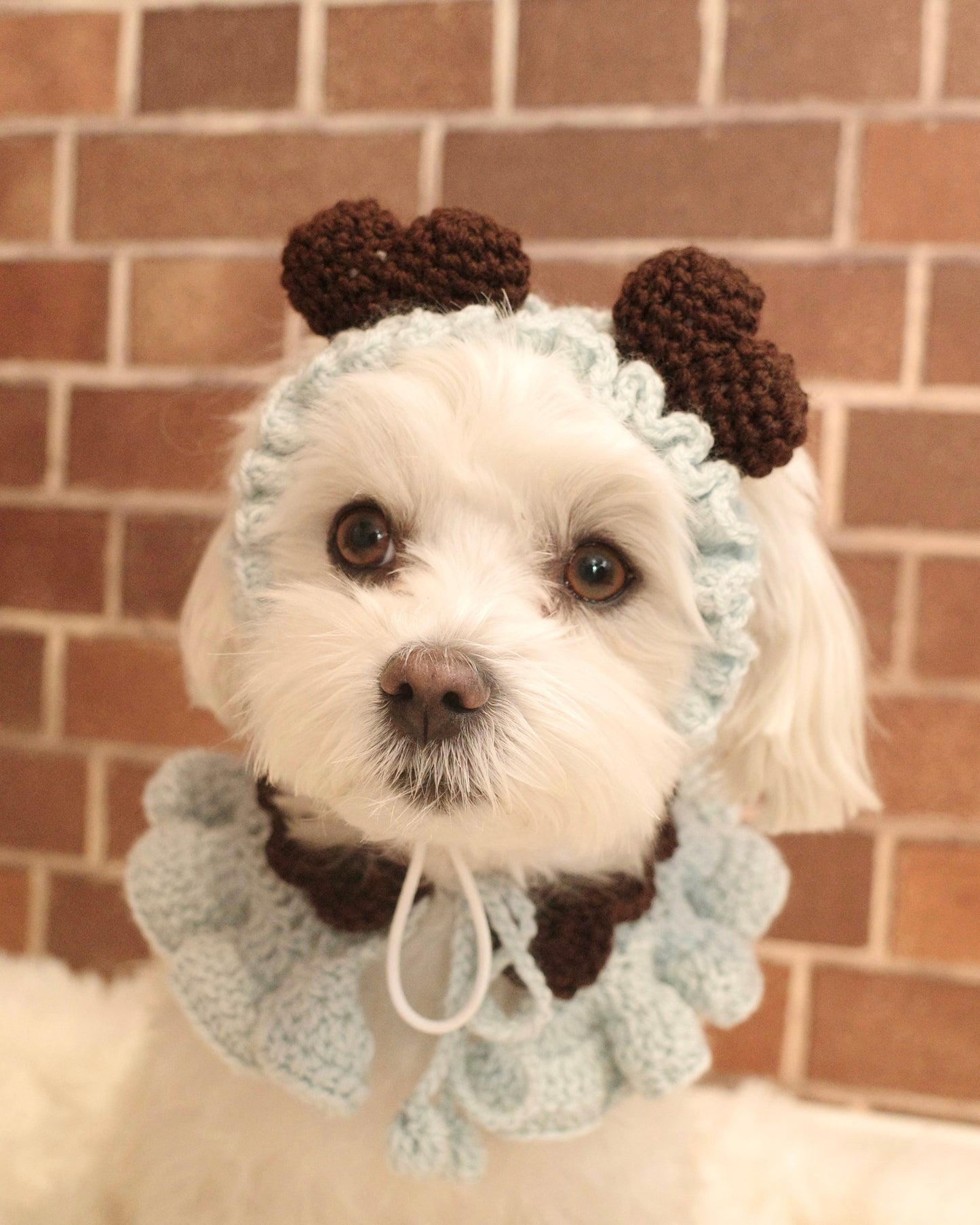 ＜新カラー追加＞ホイップセット（ケープ＆カチューシャ）