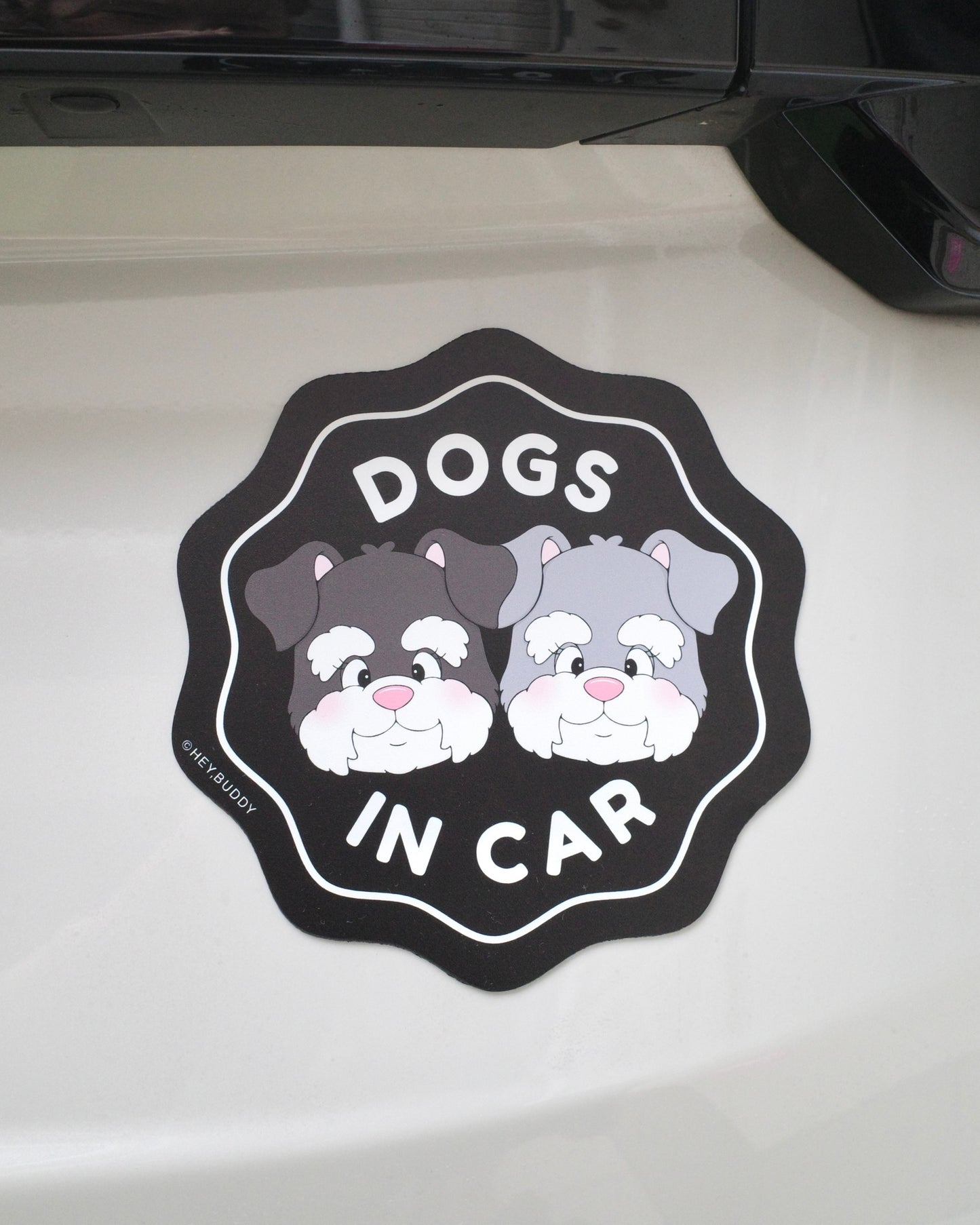 <4/20 21:00発売>ドライブステッカー