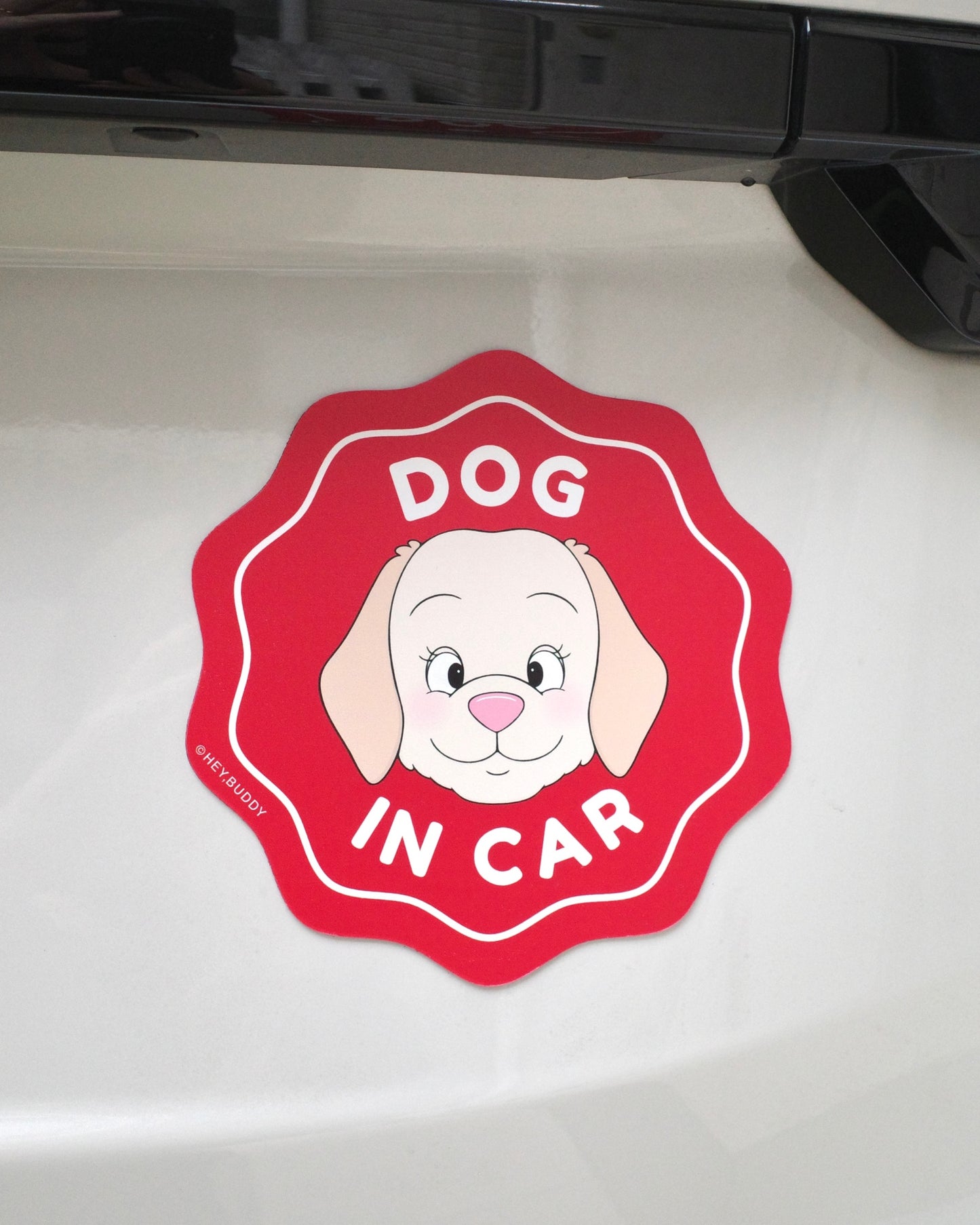 <4/20 21:00発売>ドライブステッカー