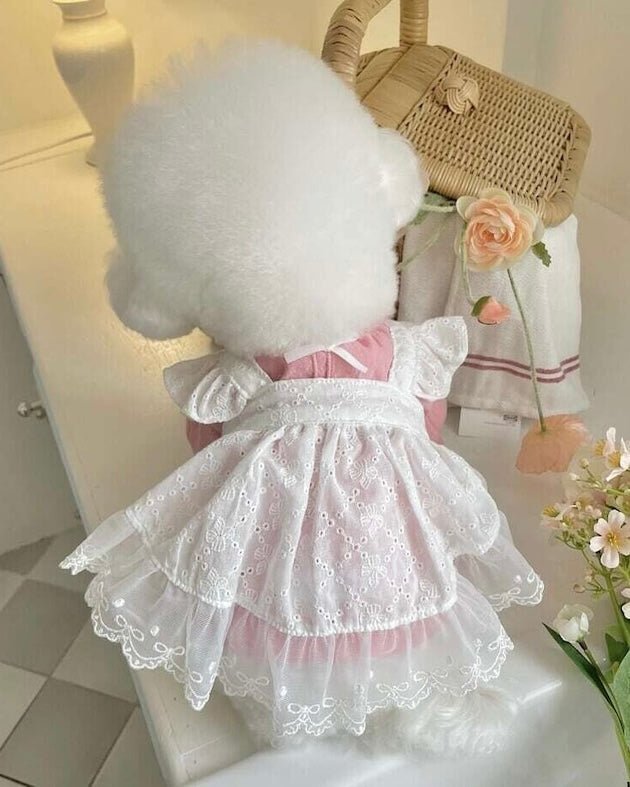 blanche bustier - HEY,BUDDY