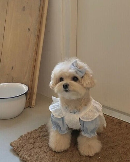 blanche bustier - HEY,BUDDY