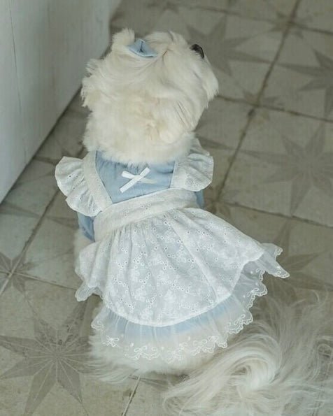 blanche bustier - HEY,BUDDY