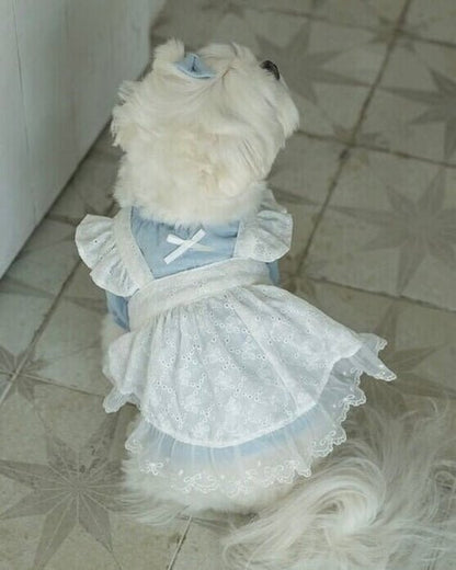 blanche bustier - HEY,BUDDY