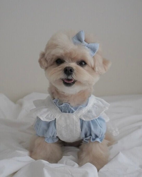 blanche bustier - HEY,BUDDY