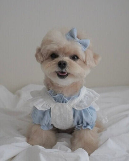 blanche bustier - HEY,BUDDY