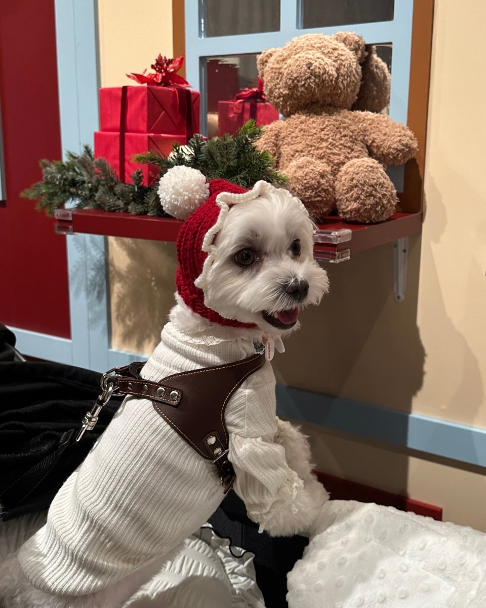 christmas 2way hood neck warmer - HEY,BUDDY