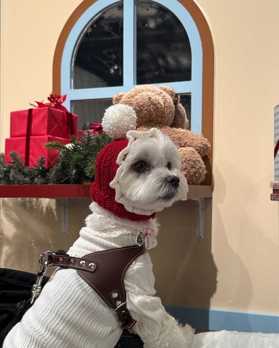 christmas 2way hood neck warmer - HEY,BUDDY