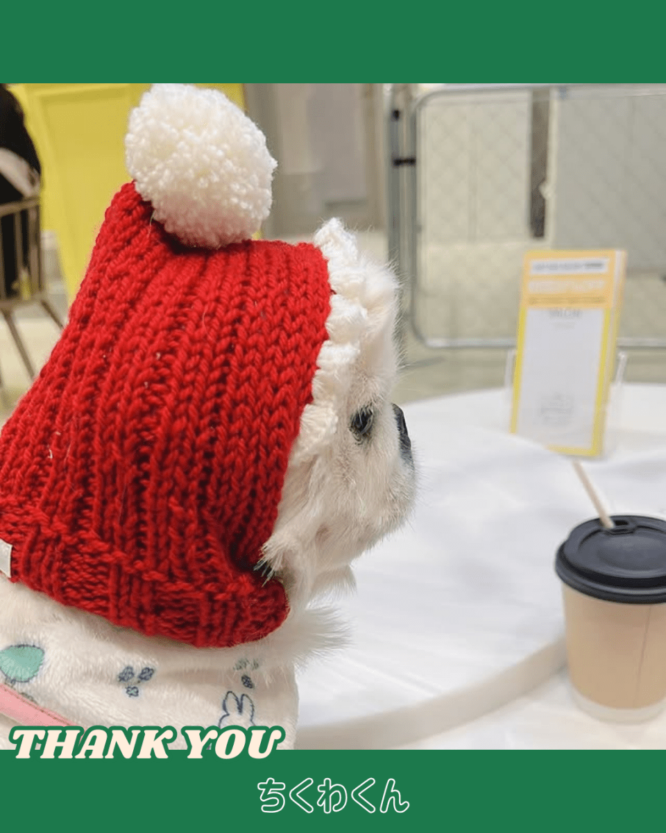 christmas 2way hood neck warmer - HEY,BUDDY