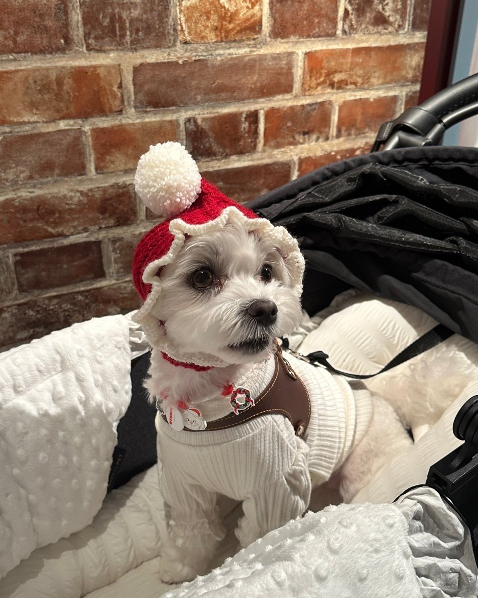 christmas 2way hood neck warmer - HEY,BUDDY