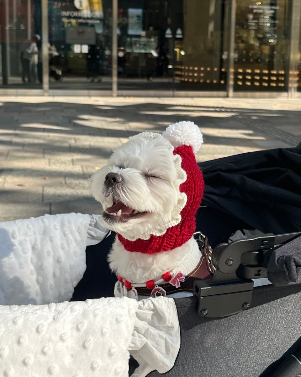 christmas 2way hood neck warmer - HEY,BUDDY