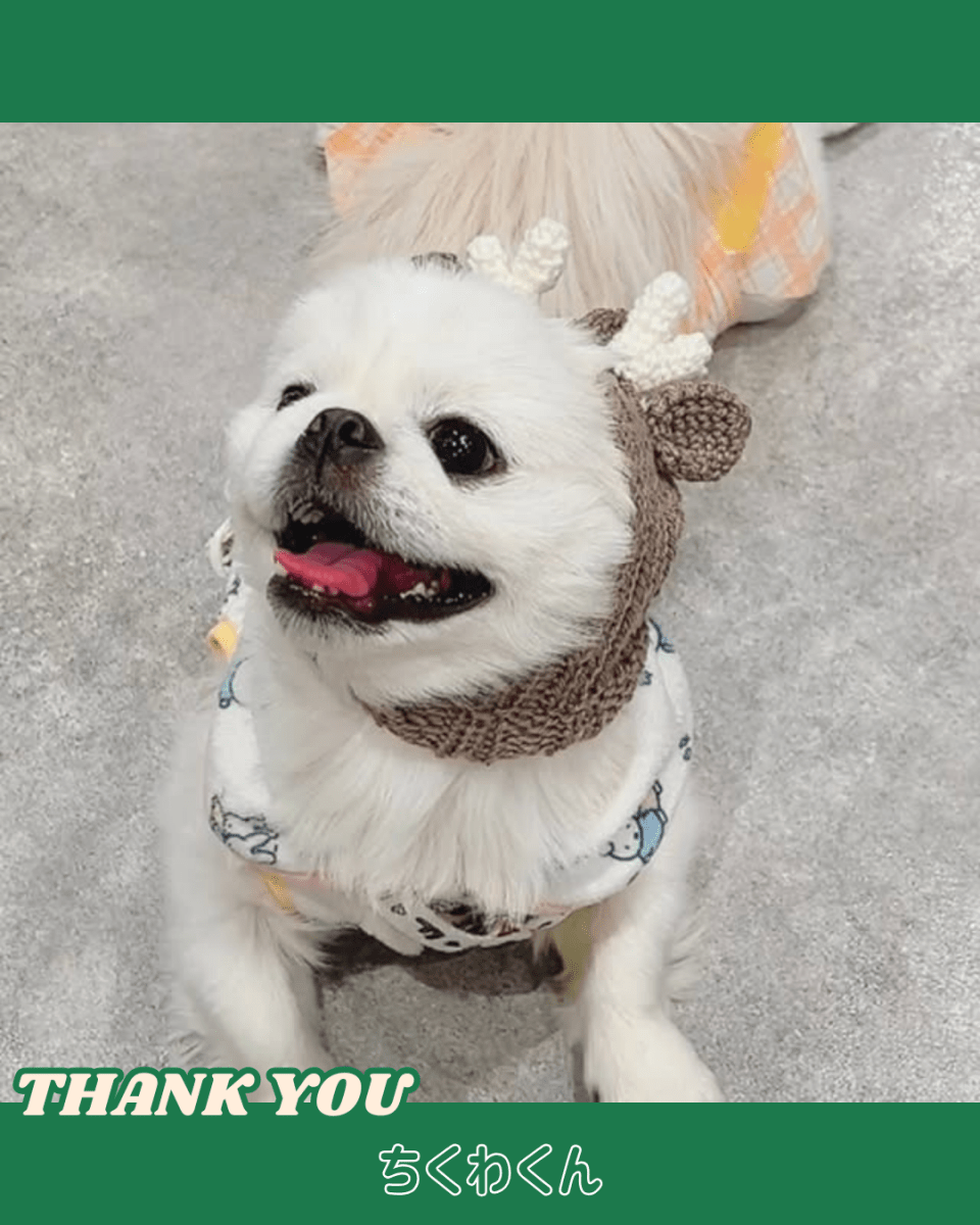 christmas 2way hood neck warmer - HEY,BUDDY