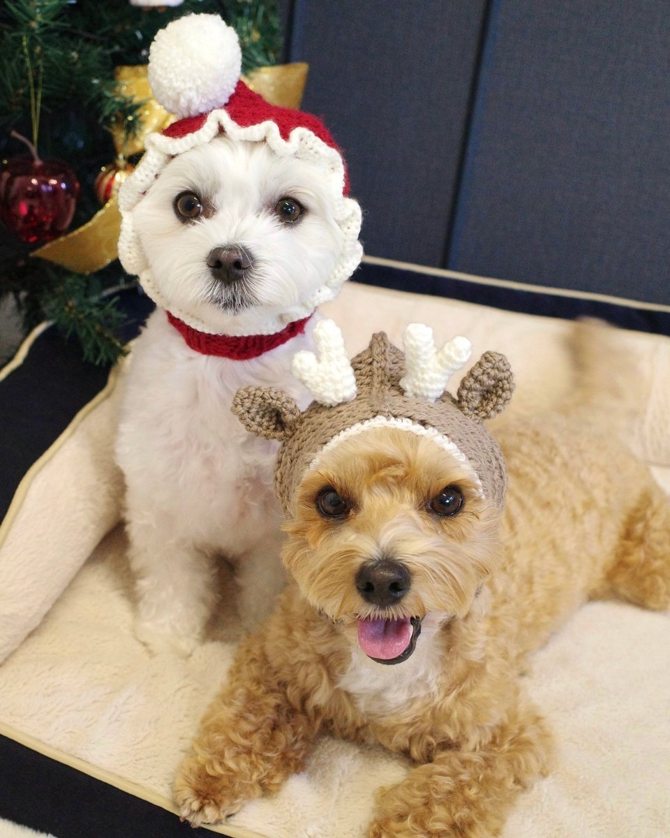 christmas 2way hood neck warmer - HEY,BUDDY