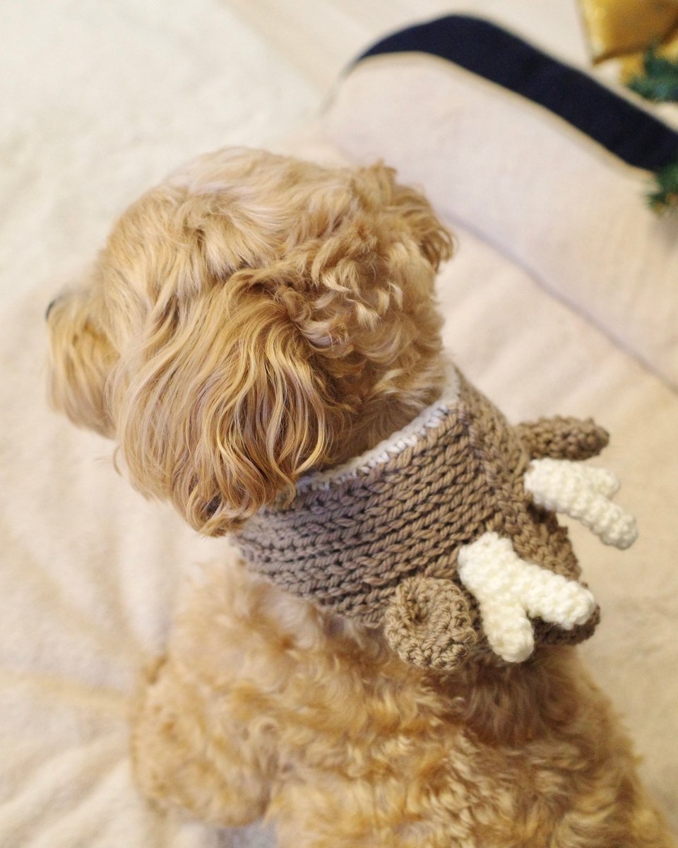 christmas 2way hood neck warmer - HEY,BUDDY