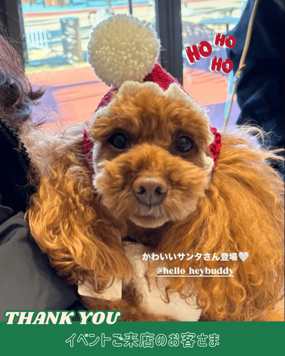 christmas 2way hood neck warmer - HEY,BUDDY