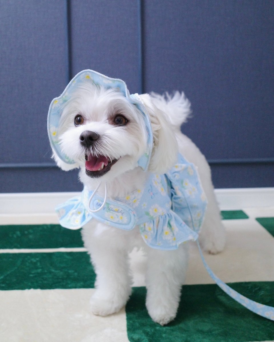 CINNAMOROLL】flower double lace harness – HEY,BUDDY