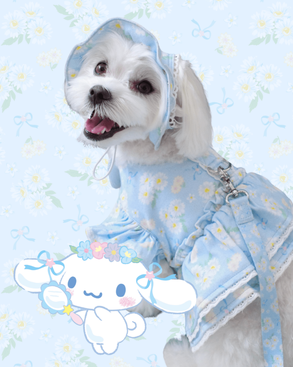 【CINNAMOROLL】flower shoulder leash - HEY,BUDDY