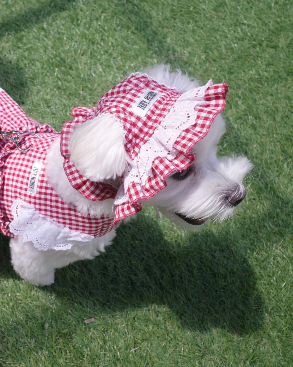 gingham check lace bonnet - HEY,BUDDY