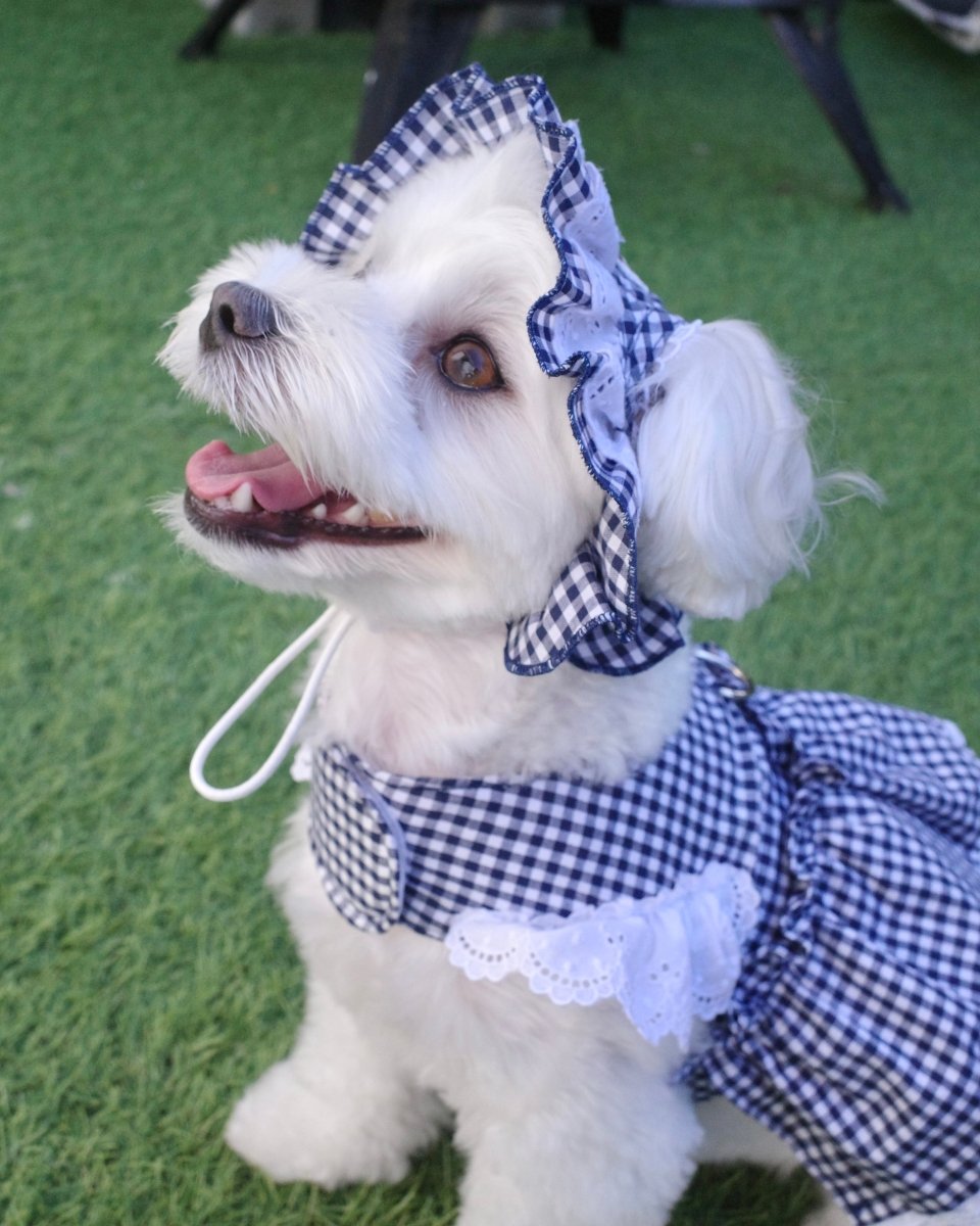 gingham check lace bonnet - HEY,BUDDY