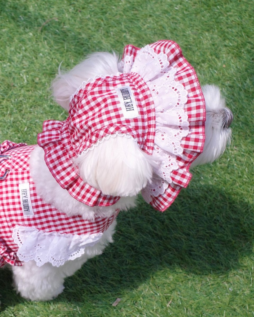 gingham check lace bonnet - HEY,BUDDY