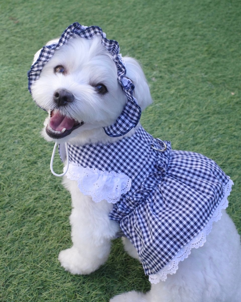 gingham check lace bonnet - HEY,BUDDY