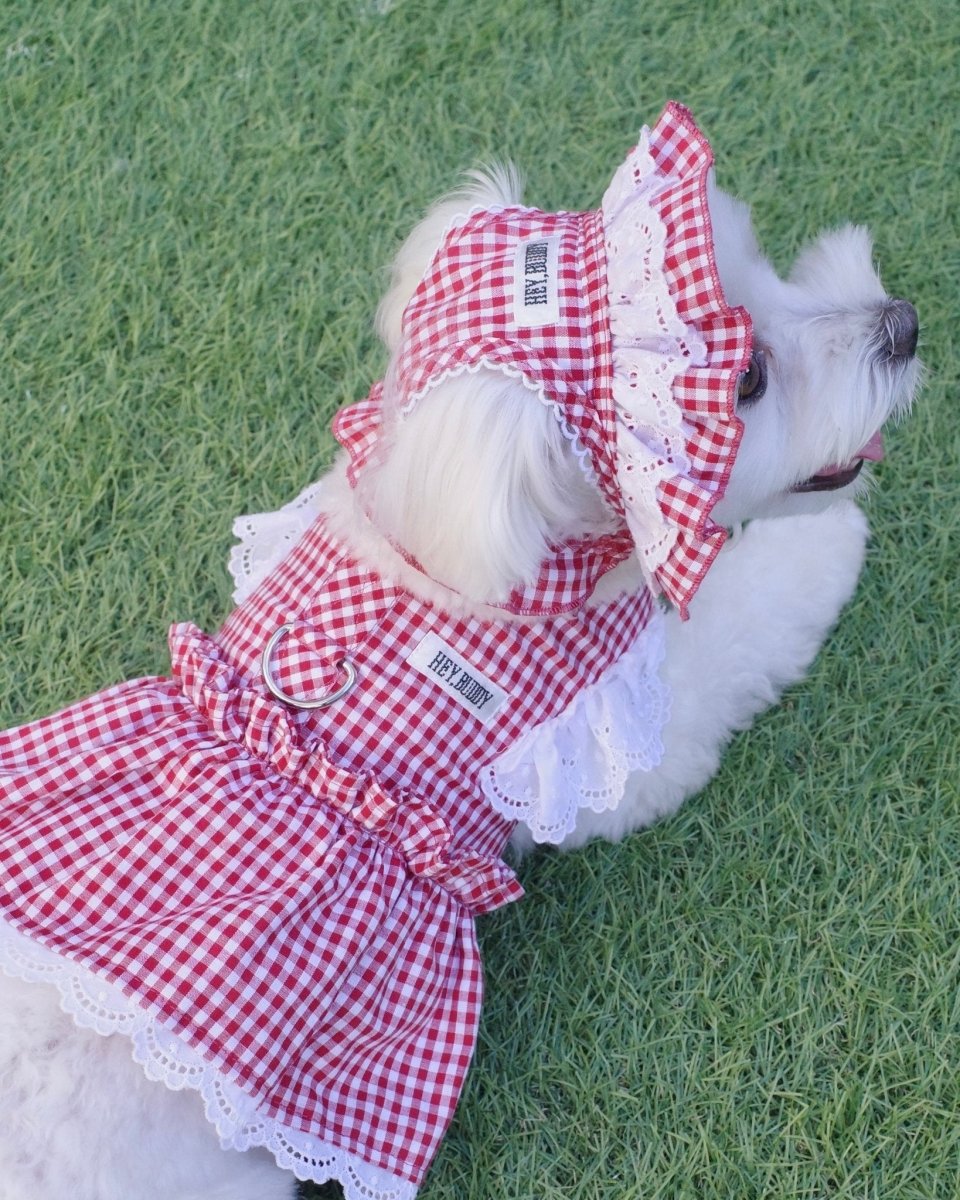 gingham check lace bonnet - HEY,BUDDY