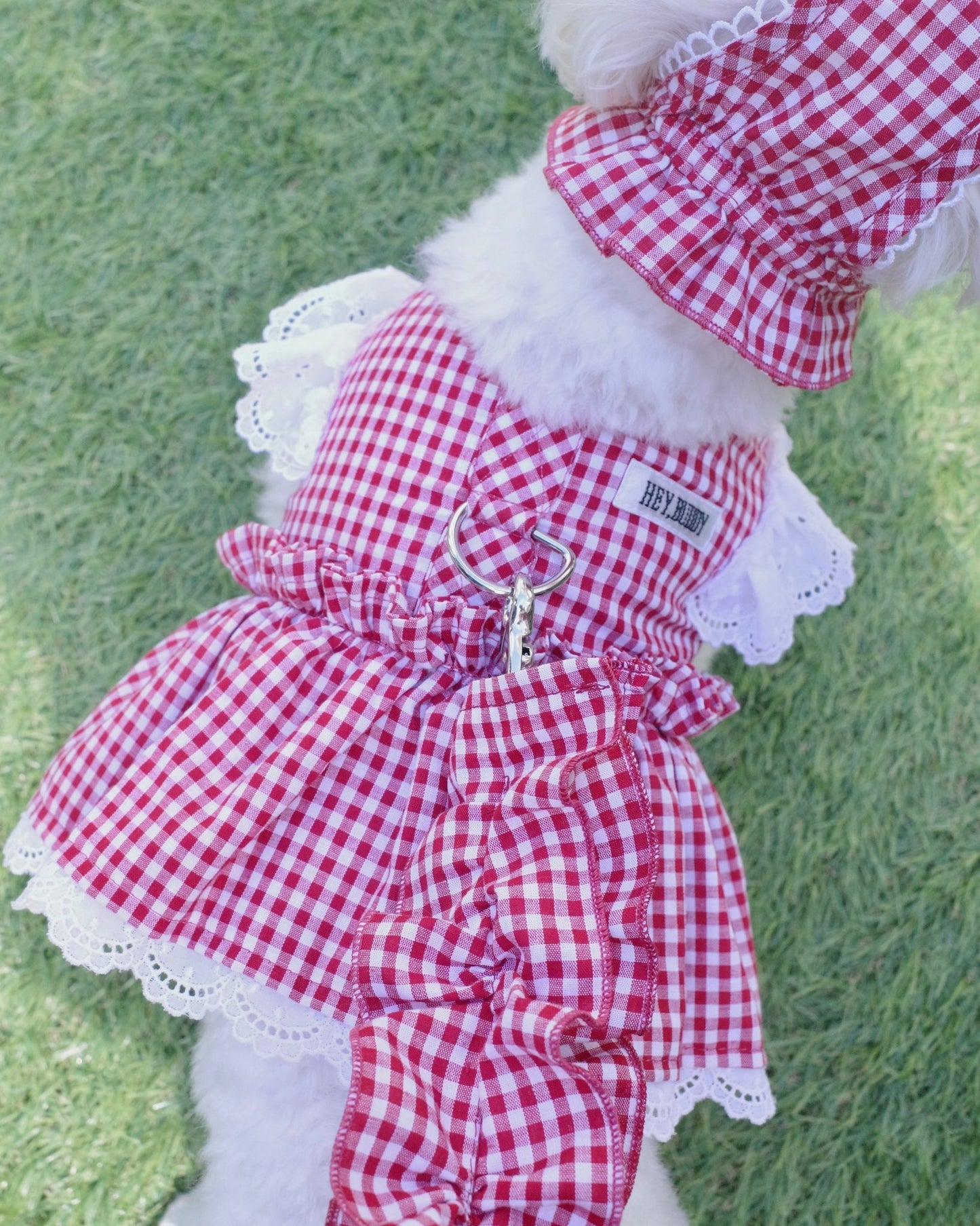 gingham check lace harness - HEY,BUDDY