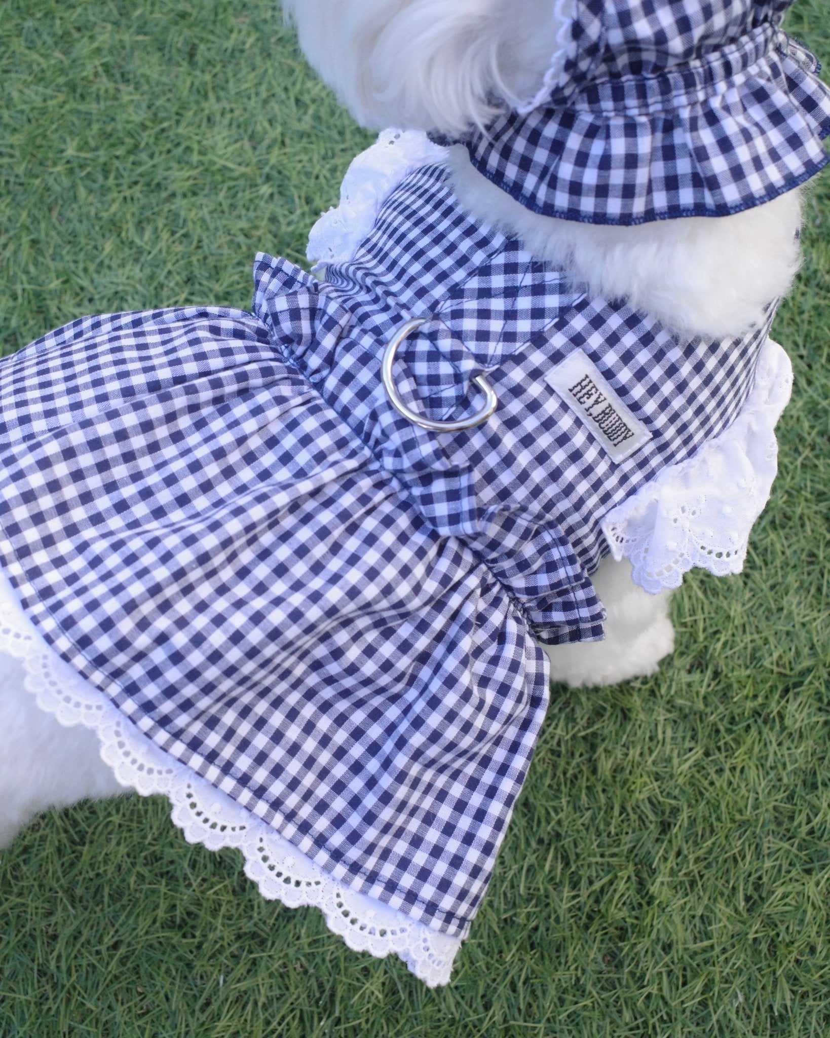 gingham check lace harness - HEY,BUDDY