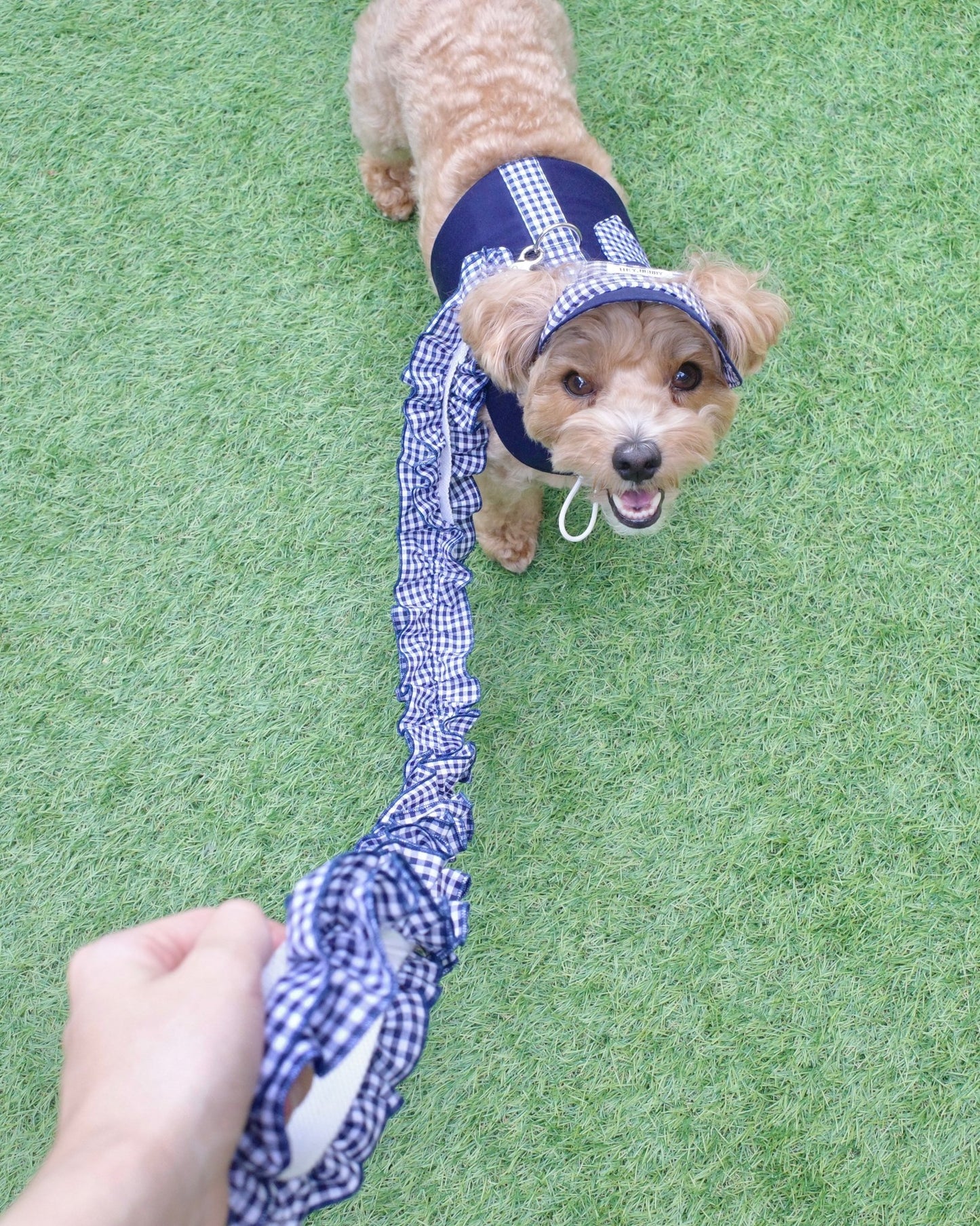 gingham check leash - HEY,BUDDY