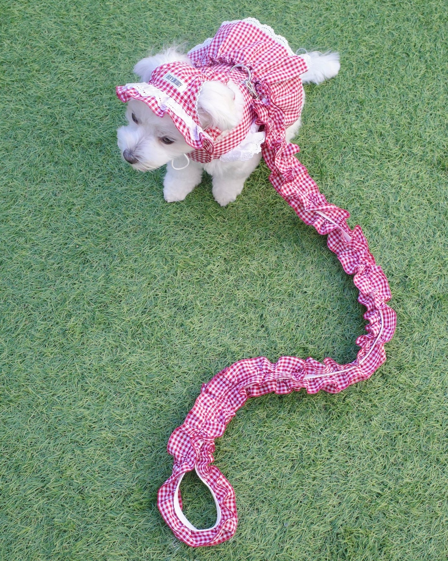 gingham check leash - HEY,BUDDY