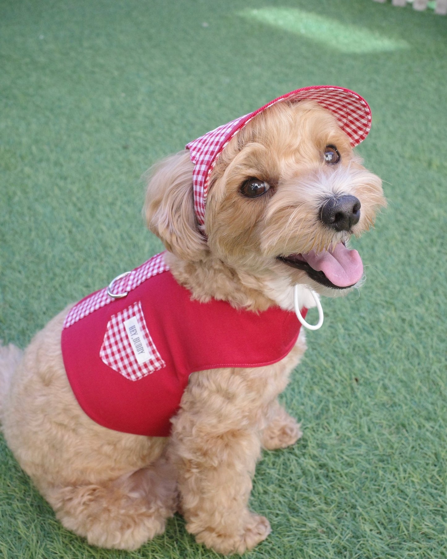 gingham check vest harness - HEY,BUDDY