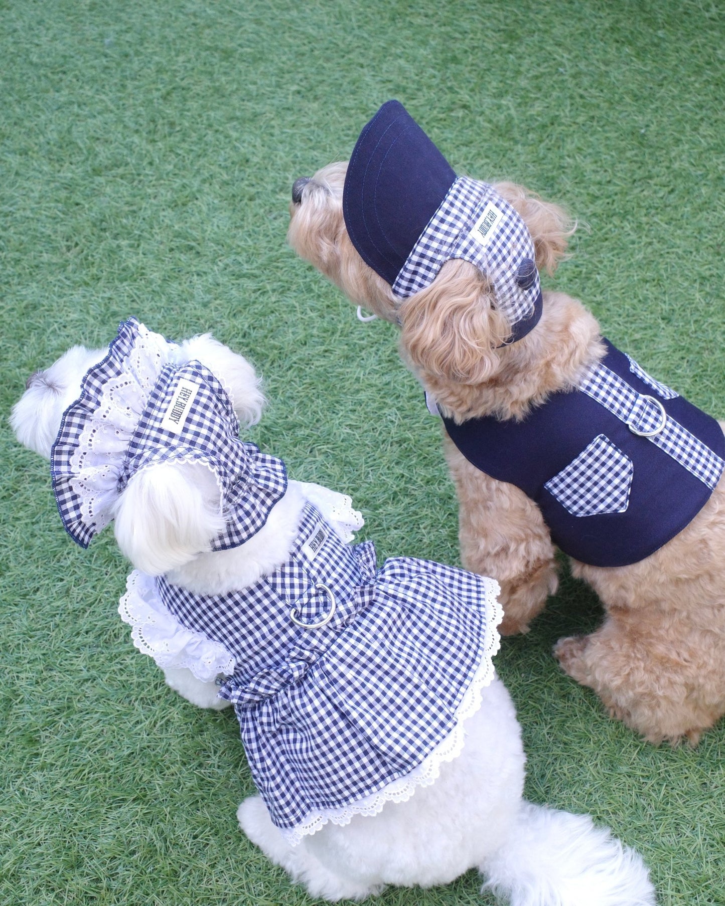 gingham check vest harness - HEY,BUDDY