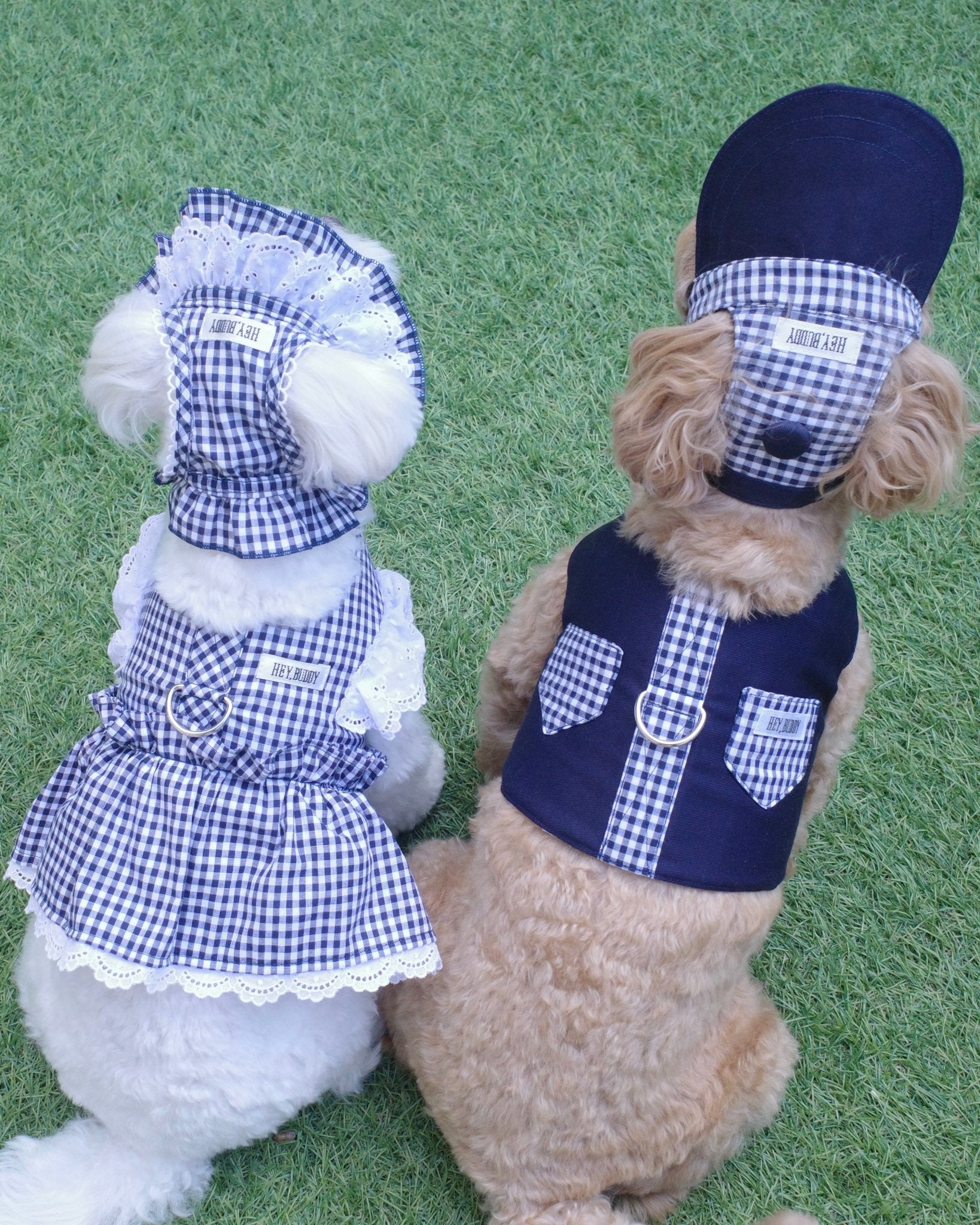 gingham check vest harness - HEY,BUDDY