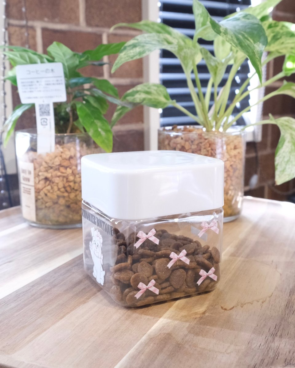 girly dog treats bottle - HEY,BUDDY